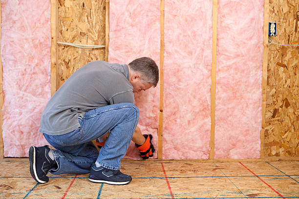 Best Fiberglass Insulation  in USA